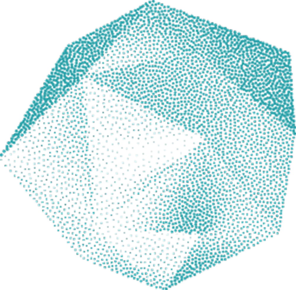 AAVE • Capa 2 copia 1